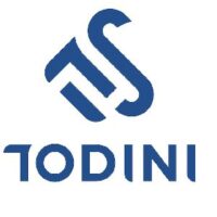 Todini